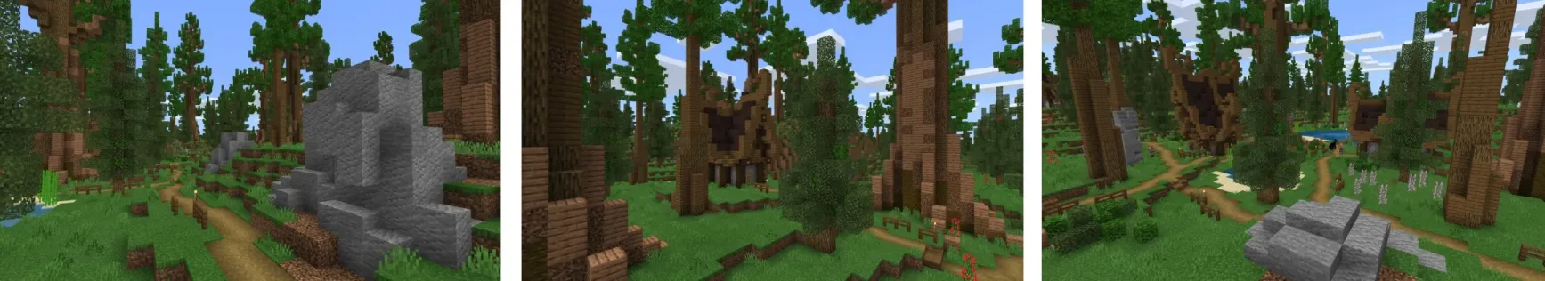 Redwood Adventure