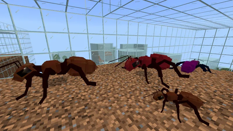 Ant Farm Skyblock