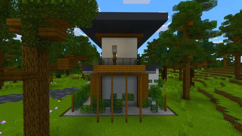 Modern House