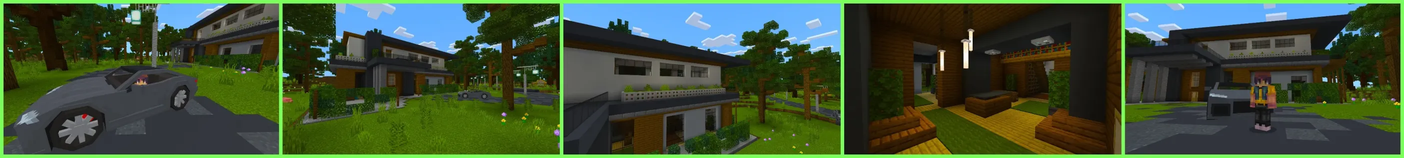 Modern House