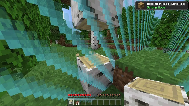 Border Line Survival