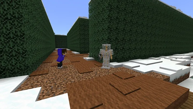 Frozen Maze