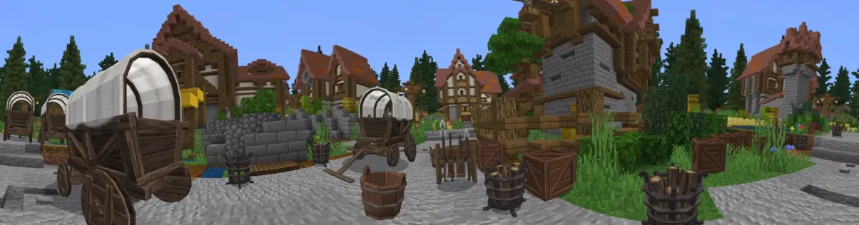 Medieval City Life