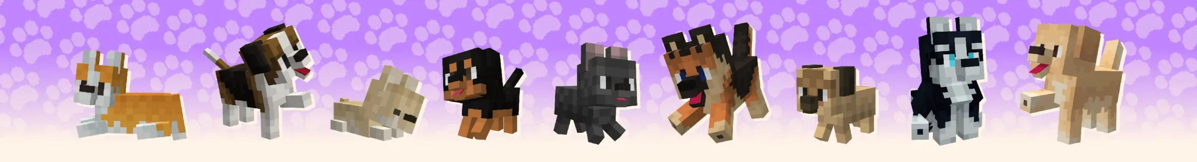 Many Dogs