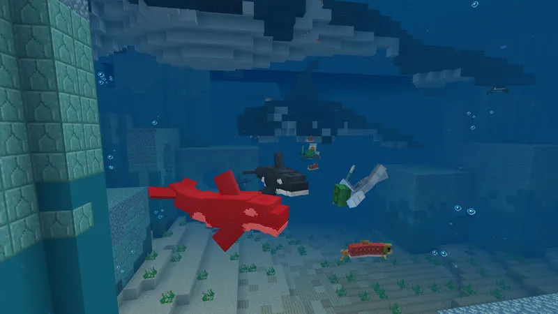 Orca