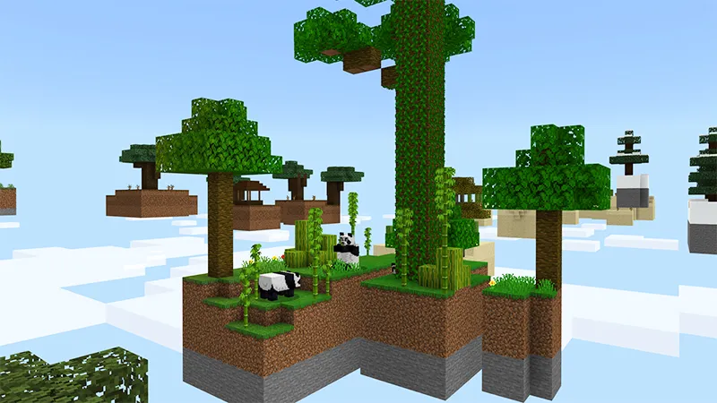 Default Skyblock