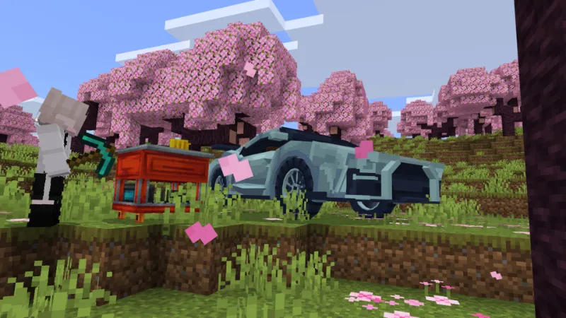 Cars Add-on