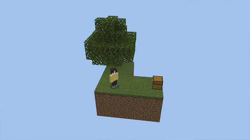 SKY BLOCK+