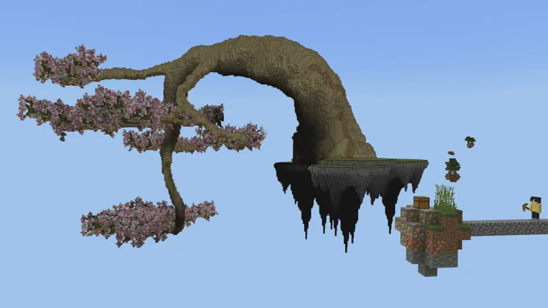 SKY BLOCK+