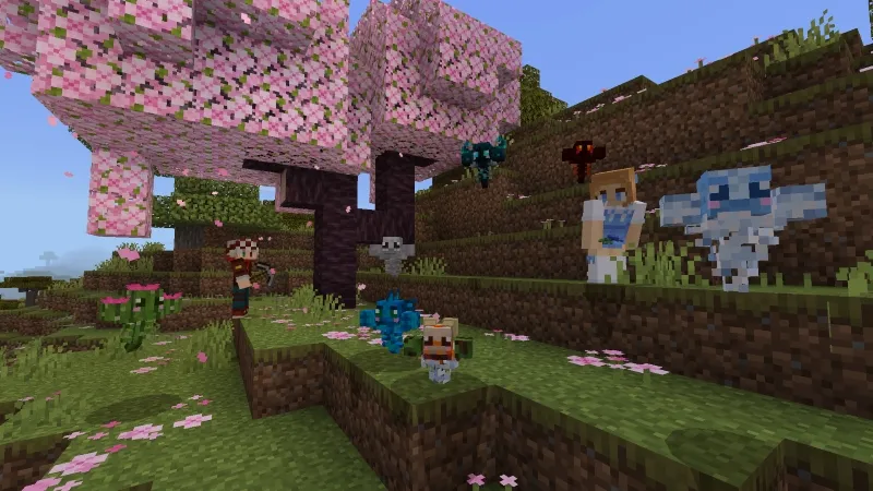 Wither Plus Add-on