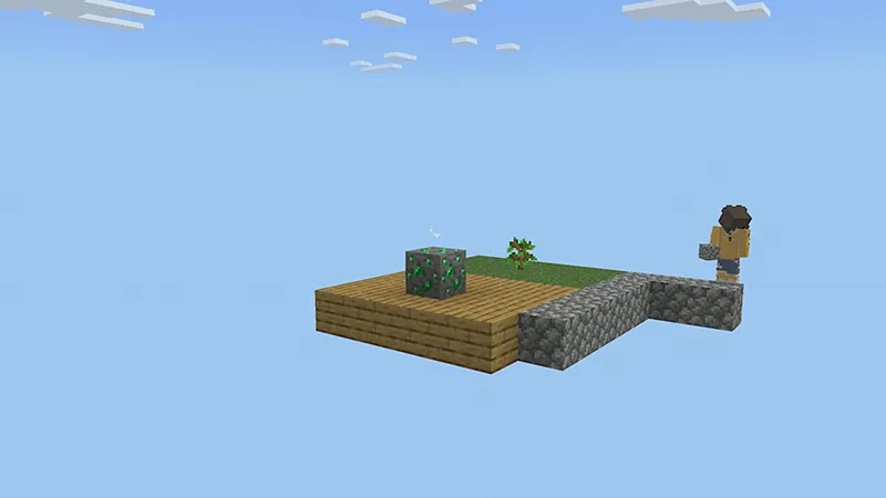 ONE BLOCK ONE HUNDERED DAYS!