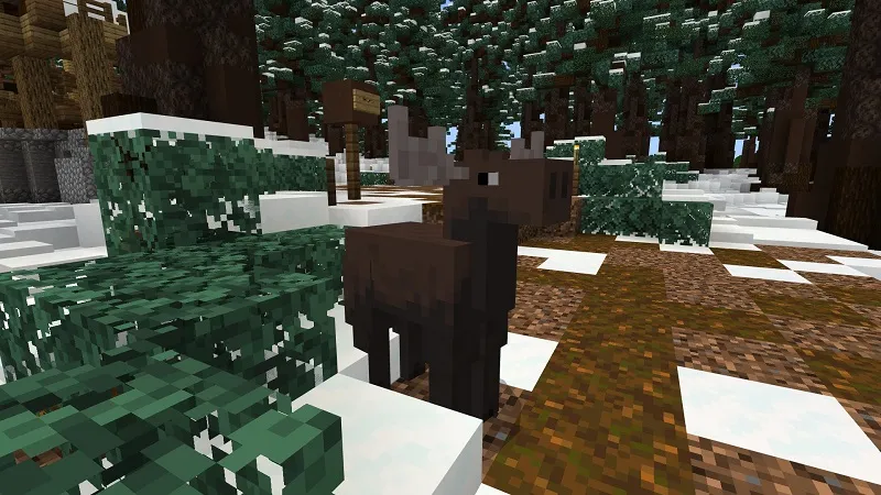 Hide and Seek: Resort!