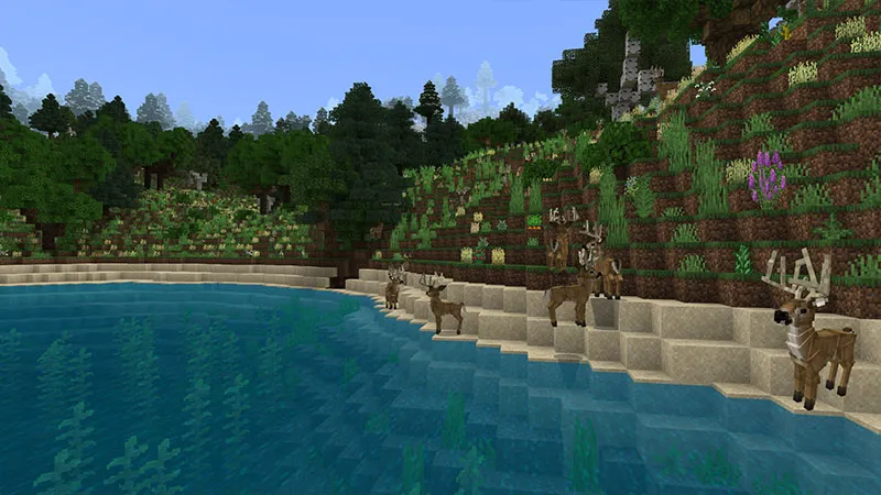 Wild Archery Hunting