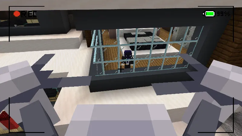 SECURITY CAMERA+