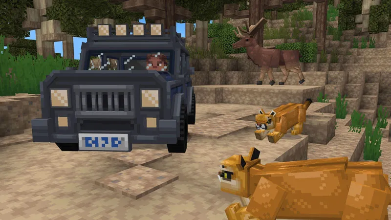 Forest Wildlife Explorers