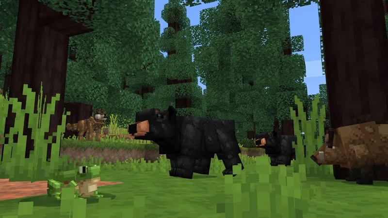 Forest Wildlife Explorers