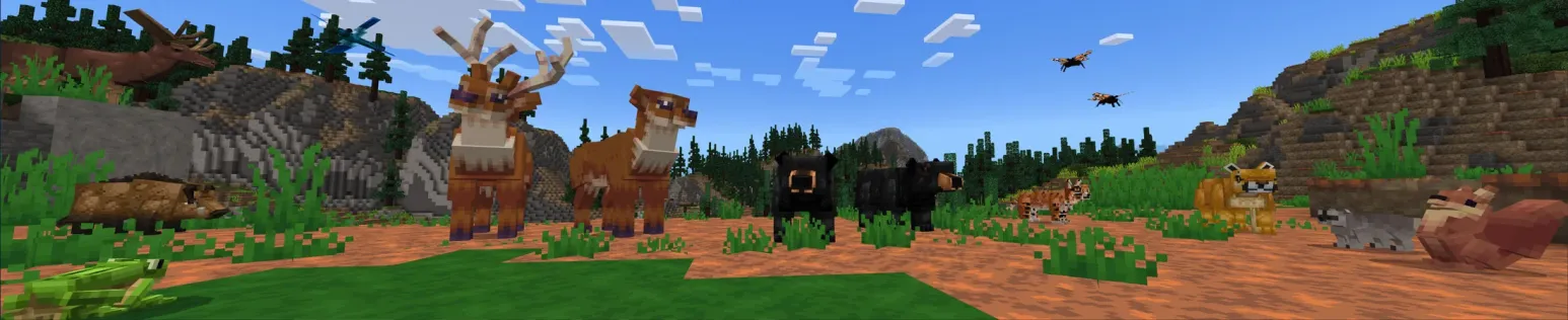 Forest Wildlife Explorers