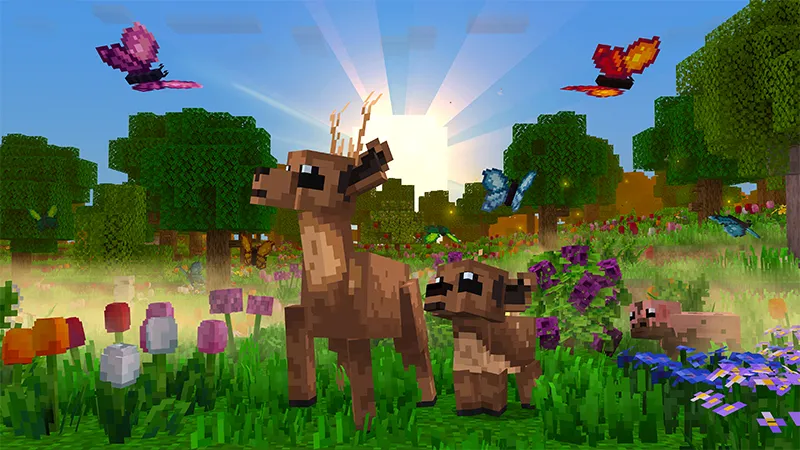 REALISM 1.1 \\ Fields+Forests