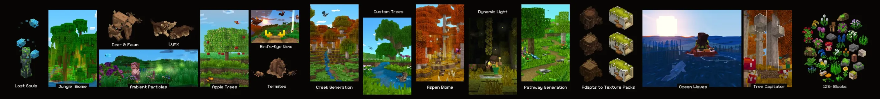 REALISM 1.1 \\ Fields+Forests