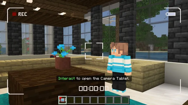 Security Cameras Add-On