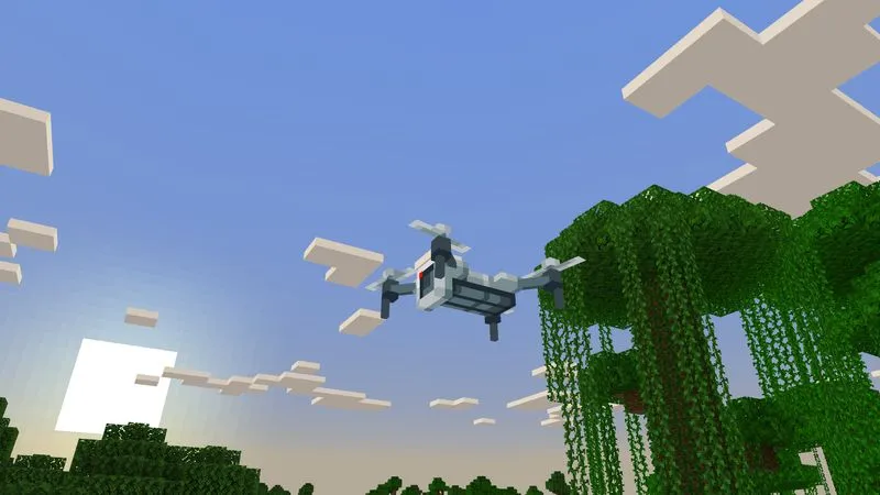 Security Cameras Add-On