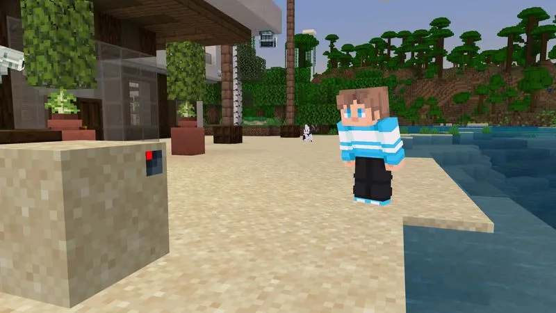 Security Cameras Add-On