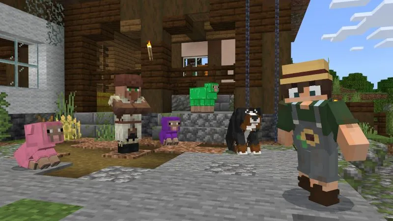 More Sheep
