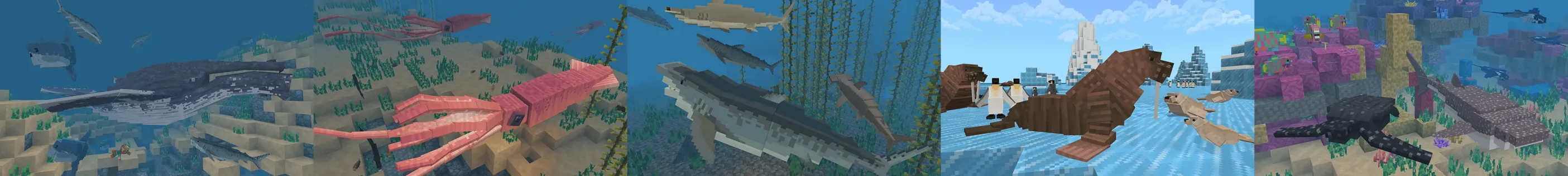 Ocean Expansion