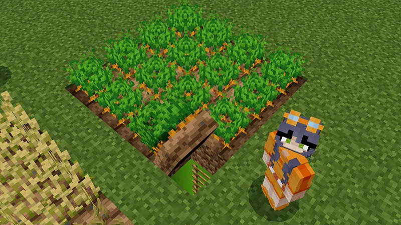 SECRET FARM BASE