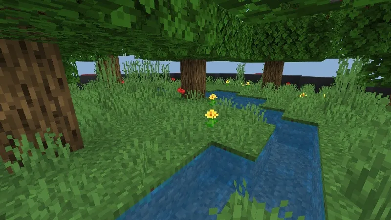 Round Skyblock