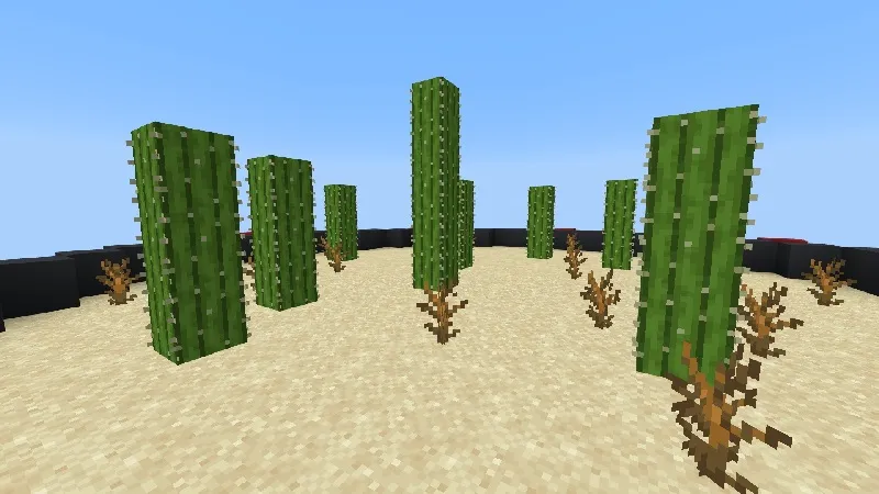 Round Skyblock