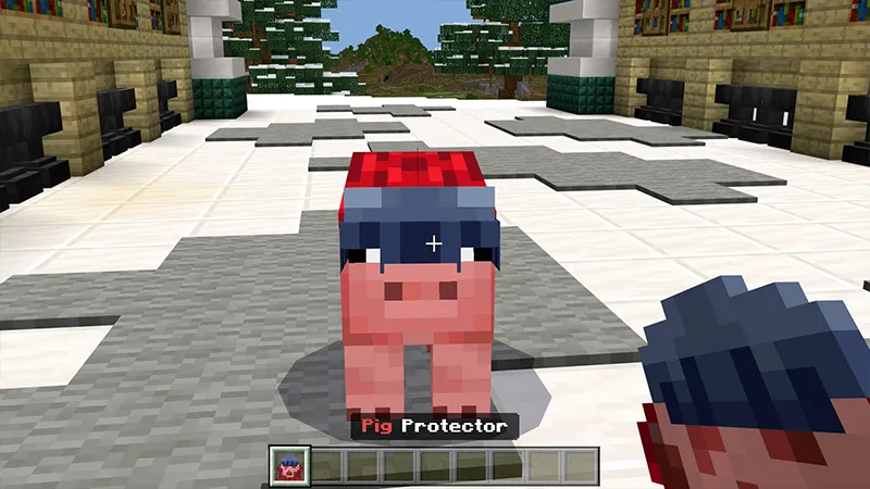 PIG TOOLS