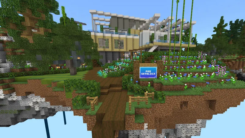 Noob VS Pro Skyblock