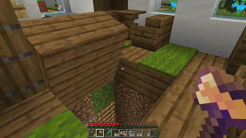 Secret Doors