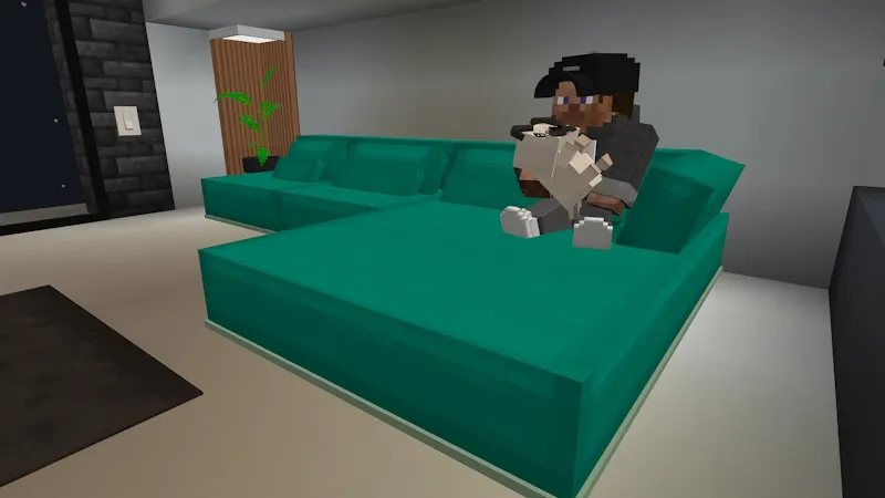 Functional Furniture