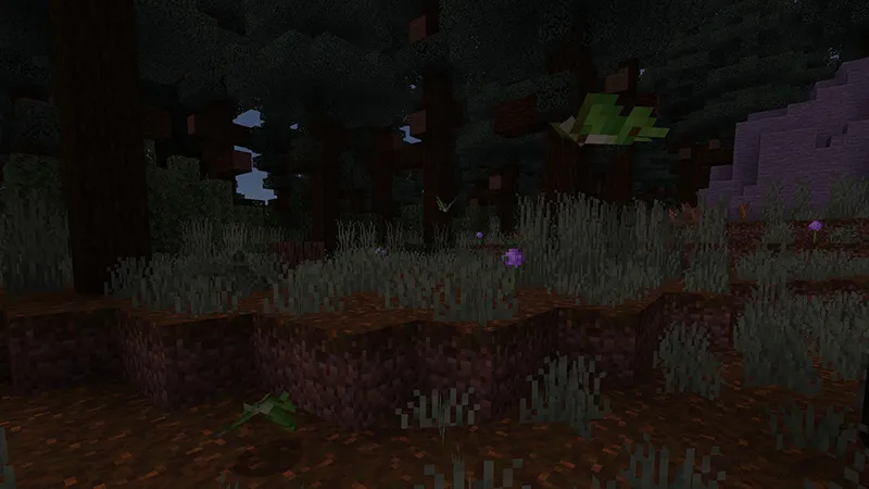 Butterflies & Moths Add-On