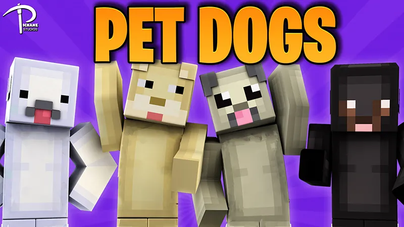 Pet Dogs
