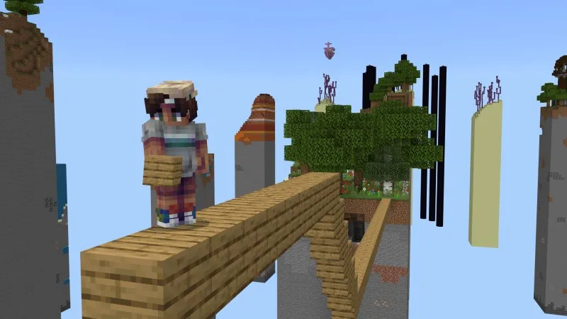 Skyblock Chunk Biomes