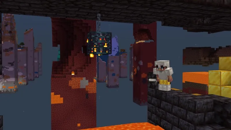 Skyblock Chunk Biomes