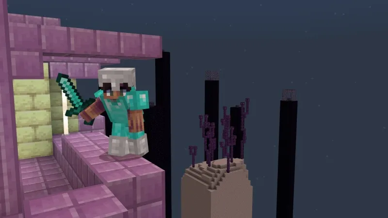 Skyblock Chunk Biomes