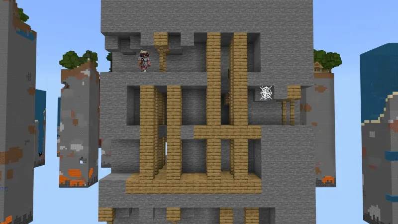 Skyblock Chunk Biomes