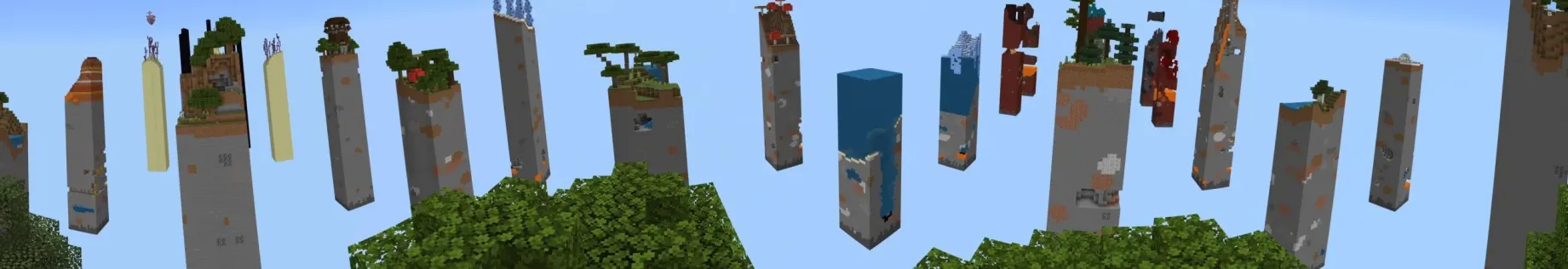 Skyblock Chunk Biomes