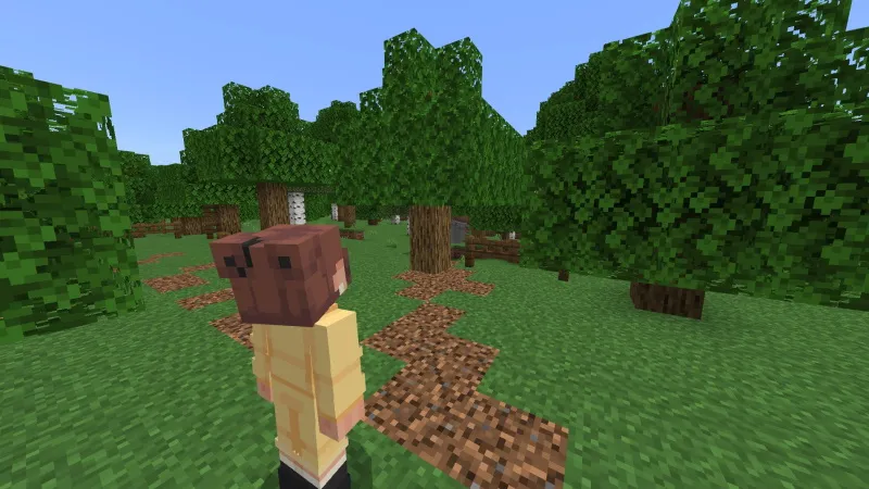 Secret Tree Base