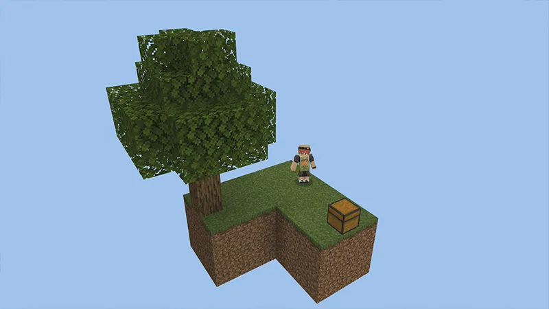 Skyblock Bugs