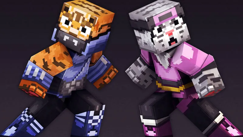 Ninja Cats!