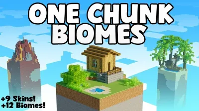 One Chunk Biomes