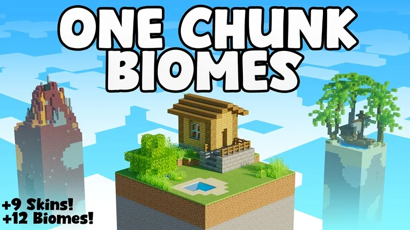 One Chunk Biomes