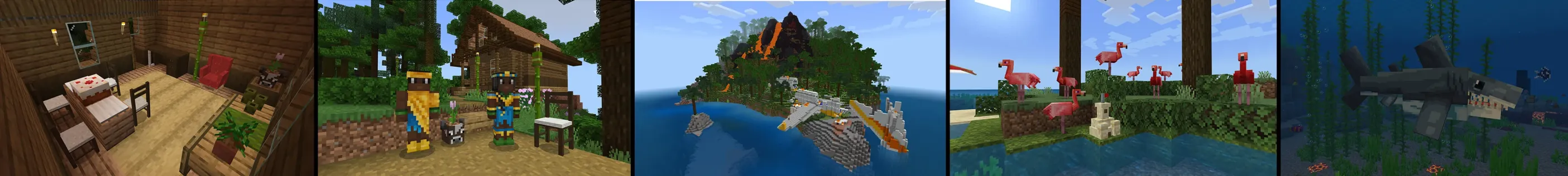 Plane Crash