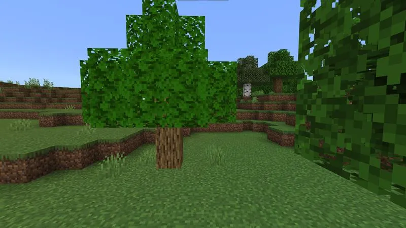 Hidden Tree Base