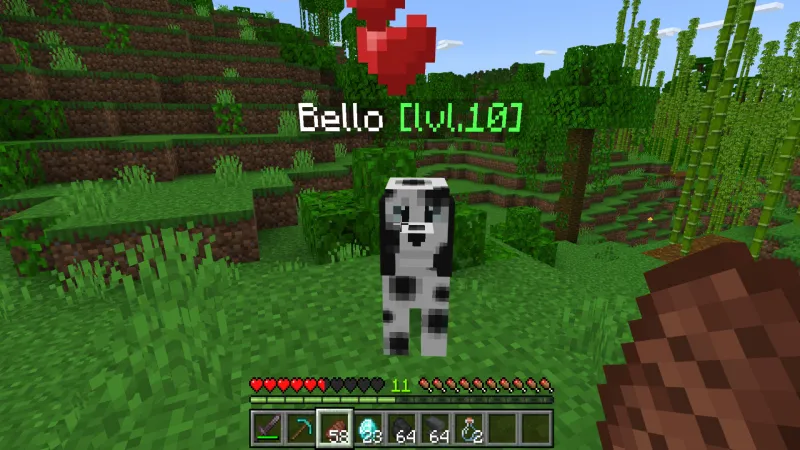 Pets: Dogs